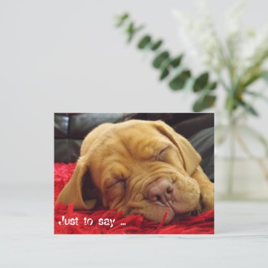 ただ….. ポストカード (スタンド正面)