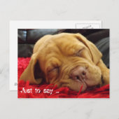 ただ….. ポストカード (正面/裏面)