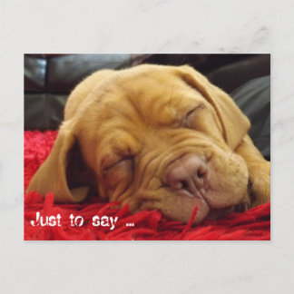 ただ….. ポストカード