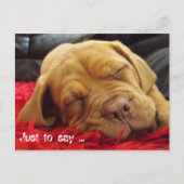 ただ….. ポストカード (正面)