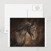 たった一人の牡馬 ポストカード (正面/裏面)