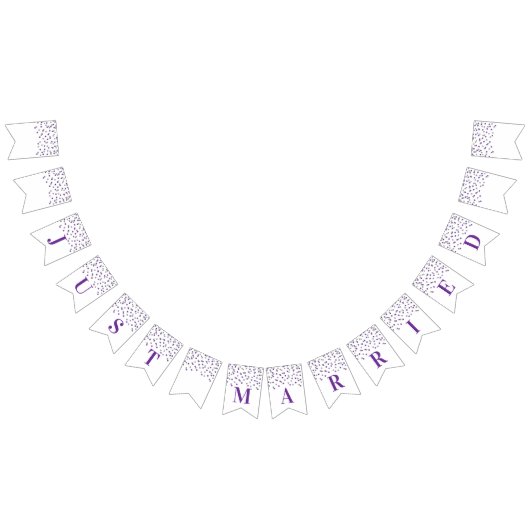 たった今結婚しましたバナーパープルシルバー紙吹雪 バンティングフラッグ (全)