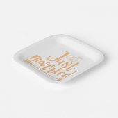 たった今結婚しました桃 ペーパープレート (傾斜あり)