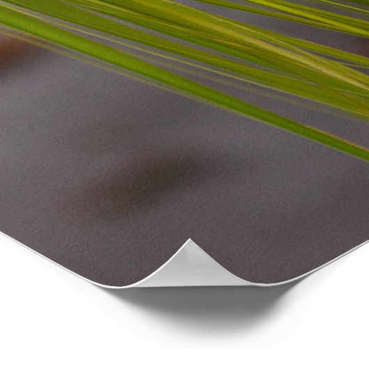 たった今結婚しました標識 ポスター (角)