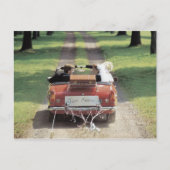 たった今結婚しました ポストカード (正面)