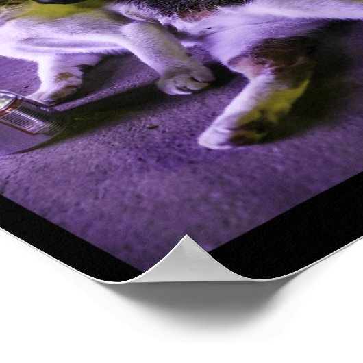 たばこ子猫おもしろい喫煙猫ミームバカバカブラ ポスター (角)