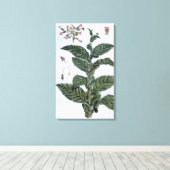 たばこ工場、プレート7、「収集降水量」より キャンバスプリント (インサイチュ (ウッドフロア))