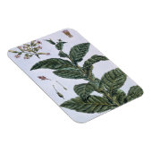 たばこ工場、プレート7、「収集降水量」より マグネット (右側)