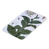 たばこ工場、プレート7、「収集降水量」より マグネット (左側)