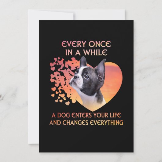 たまに犬がボストンに入ってくる 案内状 (正面)