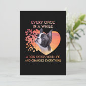 たまに犬がボストンに入ってくる 案内状 (スタンド正面)