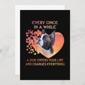 たまに犬がボストンに入ってくる 案内状 (正面/裏面)