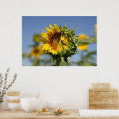 ためらっている ポスター (キッチン)