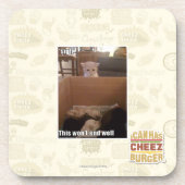 ため息 コースター (正面)