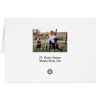 たらい、ペッサリー、イヤリングの犬の写真