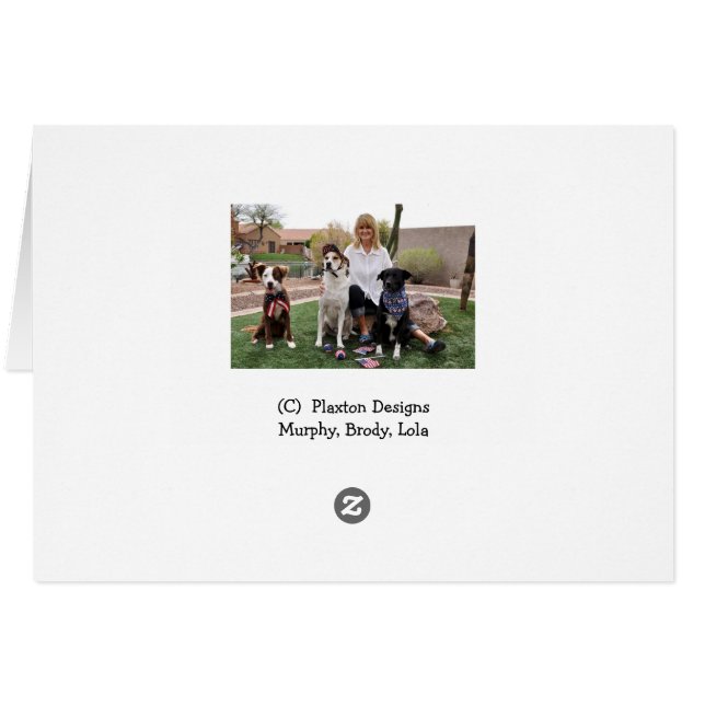 たらい、ペッサリー、イヤリングの犬の写真 (裏面横)