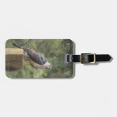 たる製造人のタカの荷物のラベル ラゲッジタグ (正面横)