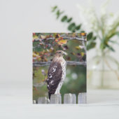 たる製造人のタカ ポストカード (スタンド正面)