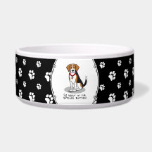 だいぶわがままなビーグル（三色）犬 面白い