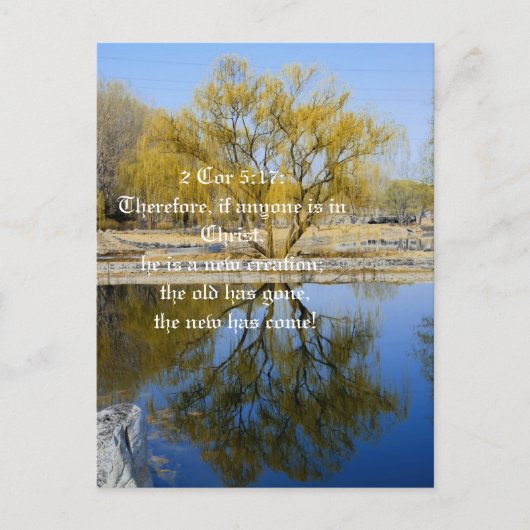 だからもし誰もがキリストに入っている、はがき ポストカード (正面)