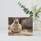 だから体重が少し足りない ポストカード (スタンド正面)