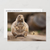 だから体重が少し足りない ポストカード (正面/裏面)