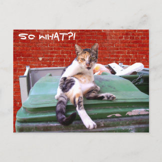 だから何 ポストカード