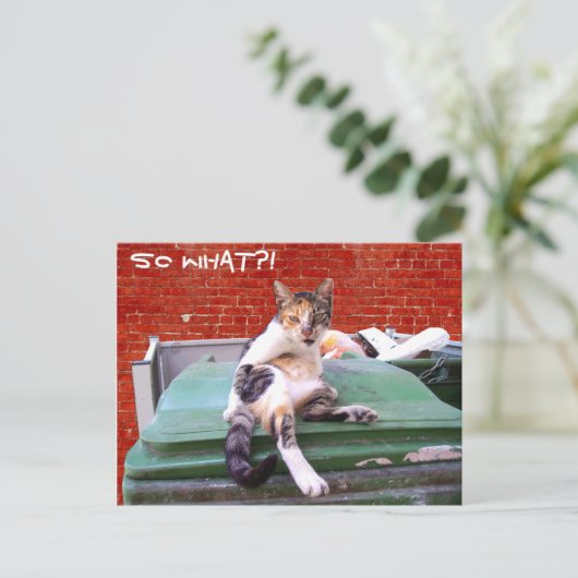 だから何 ポストカード (スタンド正面)