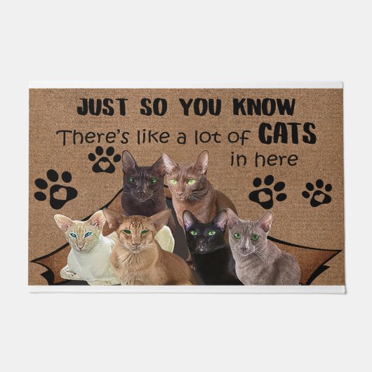 だから猫が多いって知ってるよね ドアマット (正面)