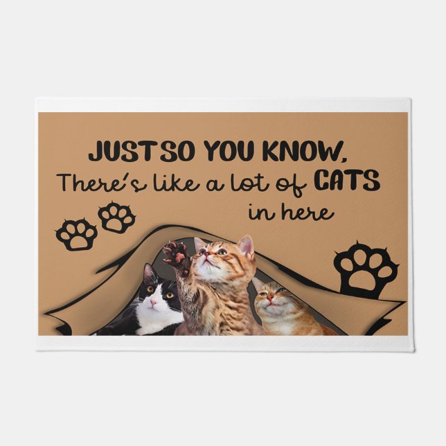 だから猫が多いって知ってるよね ドアマット (正面)