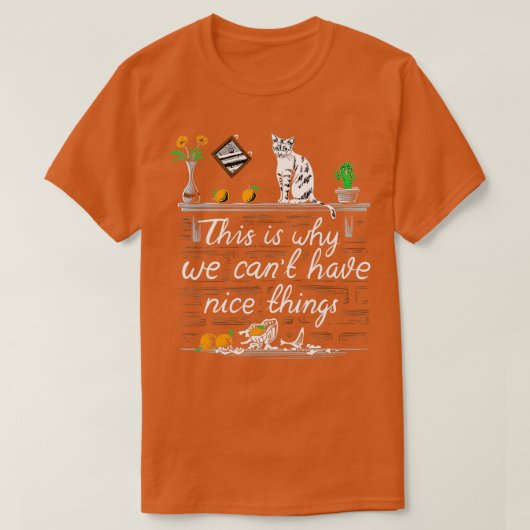 だから私は何もする優しいものを持つことができない Tシャツ (デザイン正面)