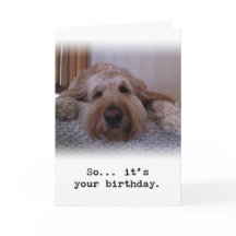 だから…あなたの誕生日