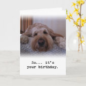 だから…あなたの誕生日 カード (黄色い花)