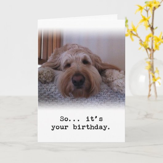 だから…あなたの誕生日 カード (黄色い花)