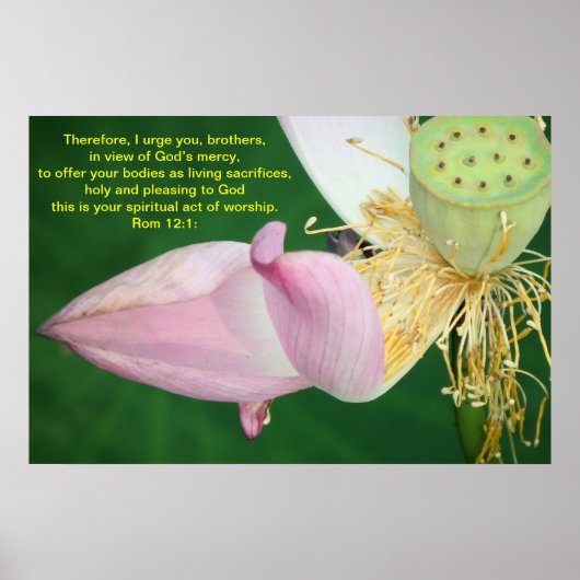 だから、兄弟たちよ ポスター (正面)