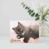 だけ ポストカード (スタンド正面)