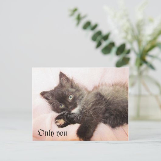 だけ ポストカード (スタンド正面)