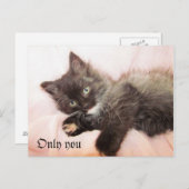 だけ ポストカード (正面/裏面)