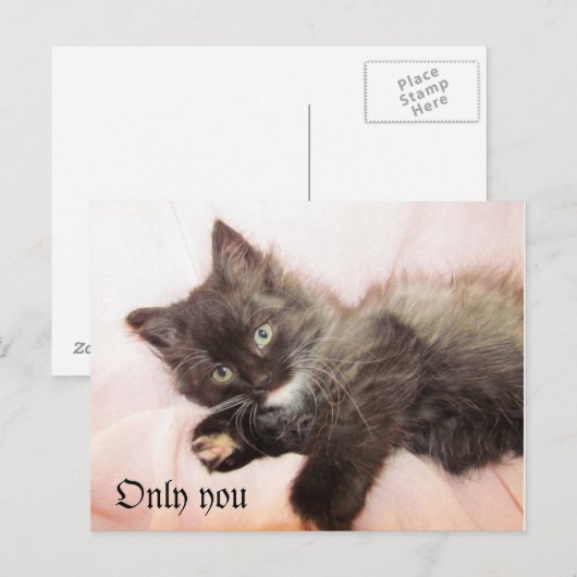 だけ ポストカード (正面/裏面)