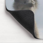 だちょうのカップルのマウスパッド マウスパッド (コーナー)