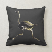 だちょうのランニング