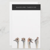 だちょうの鳥のおもしろいな動物は|あなたの名前を加えます 便箋 (正面/裏面)