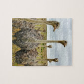 だちょうの鳥 ジグソーパズル (横)