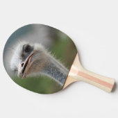 だちょうの鳥 卓球ラケット (横)