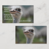 だちょうの鳥 名刺 (正面/裏面)