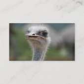 だちょうの鳥 名刺 (裏面)