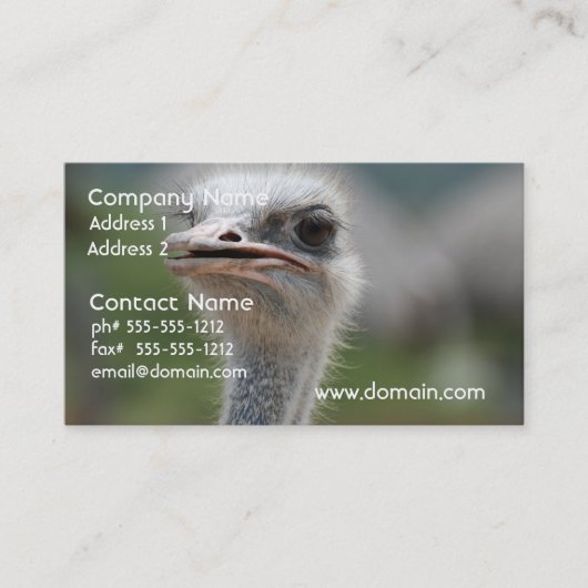 だちょうの鳥 名刺 (正面)