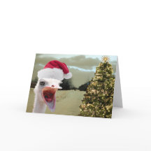 だちょうはクリスマスに興奮する得ます