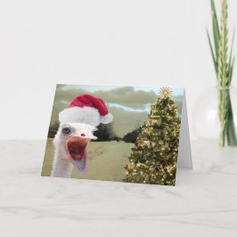 だちょうはクリスマスに興奮する得ます シーズンカード