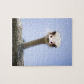 だちょうは話します ジグソーパズル (横)